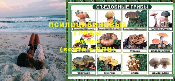 прущий лед Алзамай