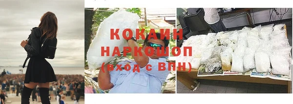 прущий лед Алзамай