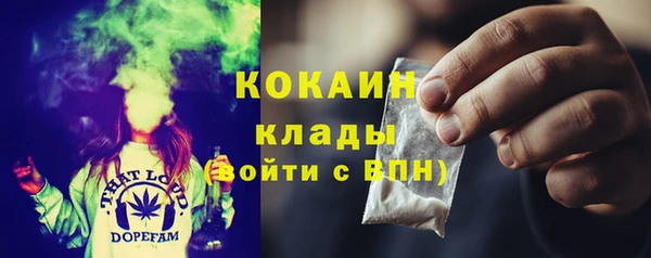 прущий лед Алзамай