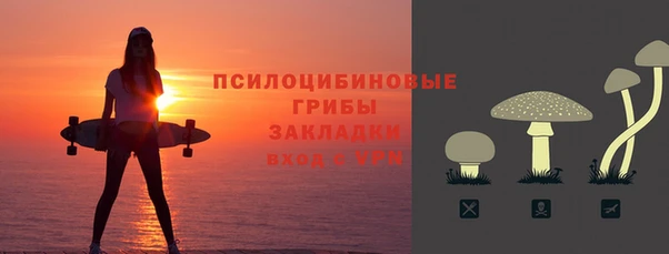 прущий лед Алзамай