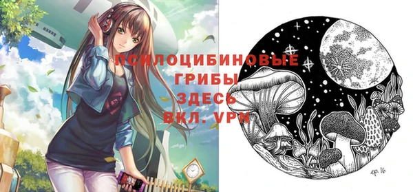 ПСИЛОЦИБИНОВЫЕ ГРИБЫ Алексеевка