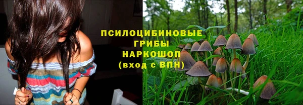 эйфоретик Семикаракорск