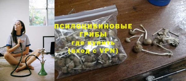 ПСИЛОЦИБИНОВЫЕ ГРИБЫ Алексеевка